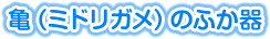 亀(ミドリガメ)のふか器