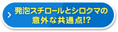 発泡スチロールとシロクマの意外な共通点!?