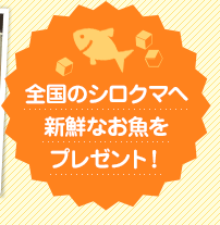 全国のシロクマへ新鮮なお魚をプレゼント！