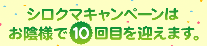 シロクマキャンペーンはお陰様で10回目を迎えます。