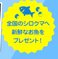全国のシロクマへ新鮮なお魚をプレゼント!