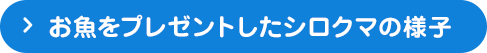 お魚をプレゼントしたシロクマの様子