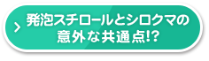 発泡スチロールとシロクマの意外な共通点!?