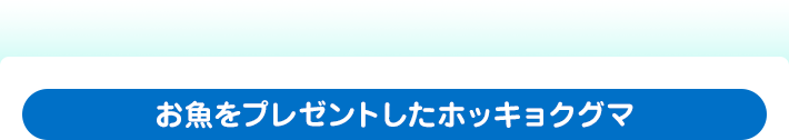 お魚をプレゼントしたホッキョクグマ