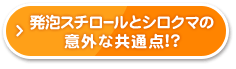 発泡スチロールとシロクマの意外な共通点!?