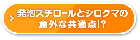 発泡スチロールとシロクマの意外な共通点!?