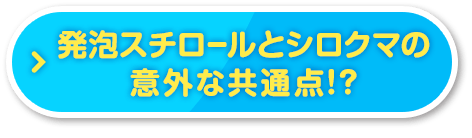 発泡スチロールとシロクマの意外な共通点!?