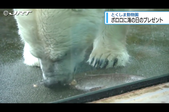 とくしま動物園北島建設の森 2