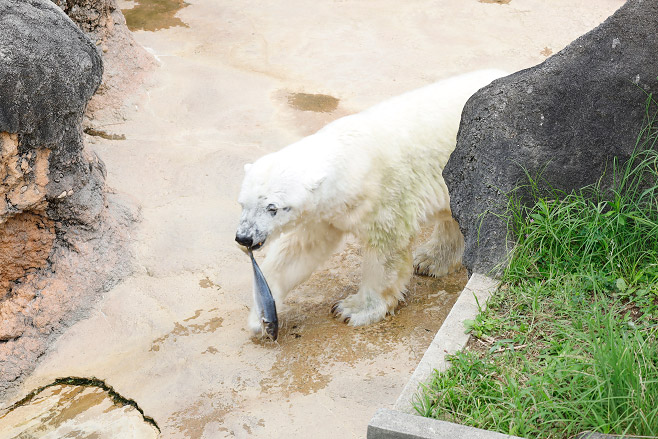 豊橋総合動植物公園 2