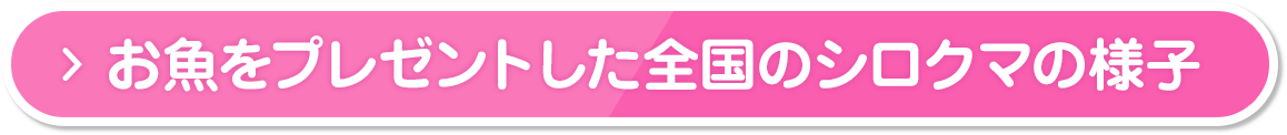 お魚をプレゼントした全国のシロクマの様子