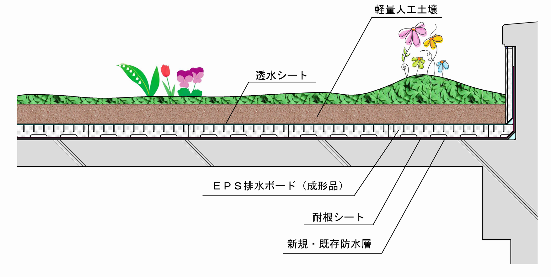 屋上緑化