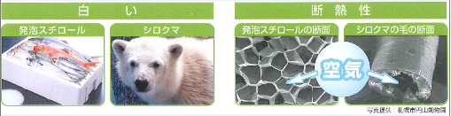 キャプチャ.PNG
